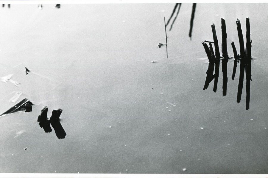 Forme insolite de la Nature, Compagne de Massy, „Creation Photographique“, 18 bis, rue Gambetta, Massy